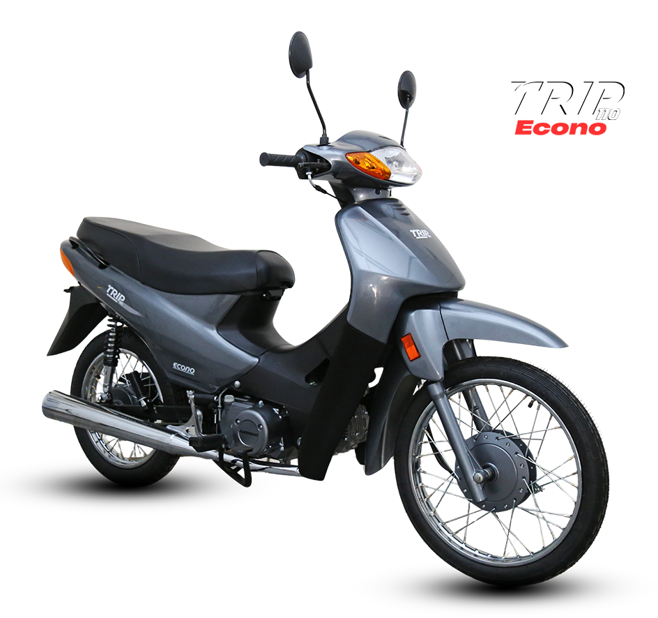 Guerrero Trip 110 econo (foto ilustrativa)